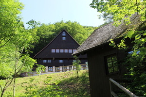 Wolfhof